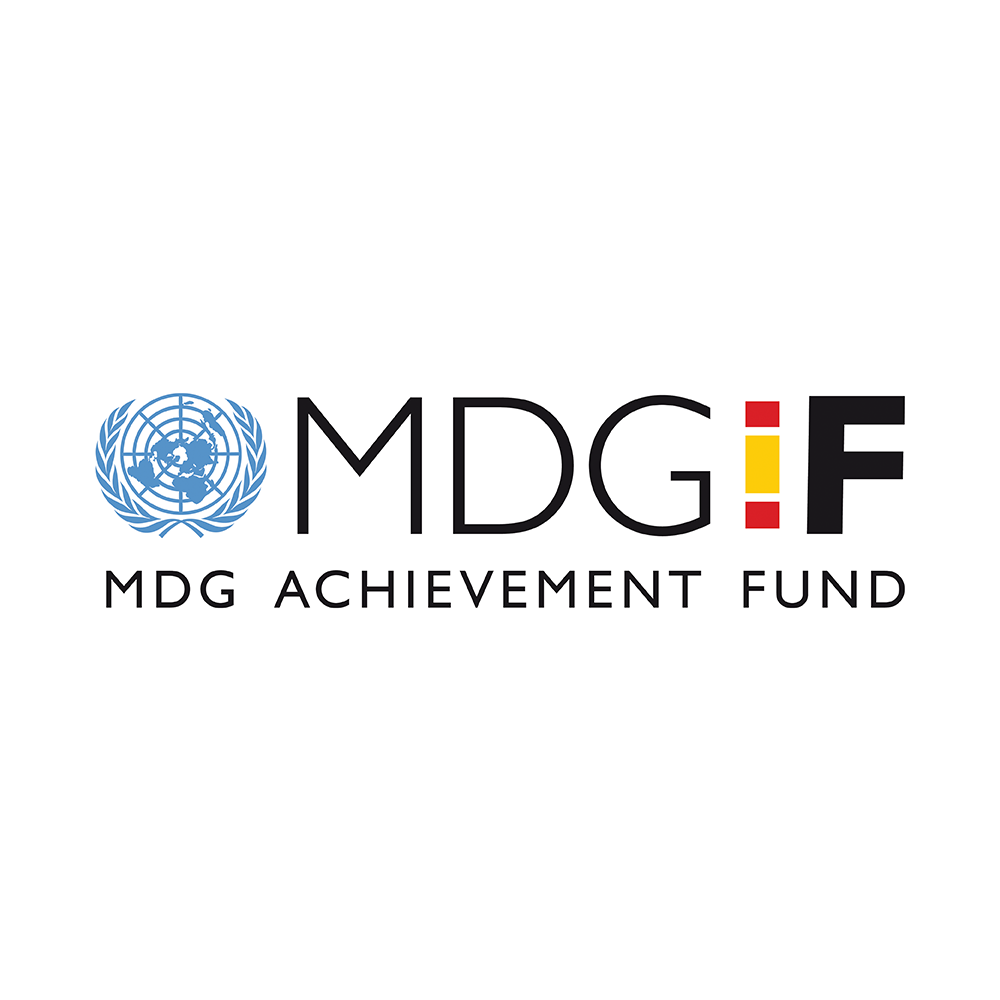 logo-mdgf